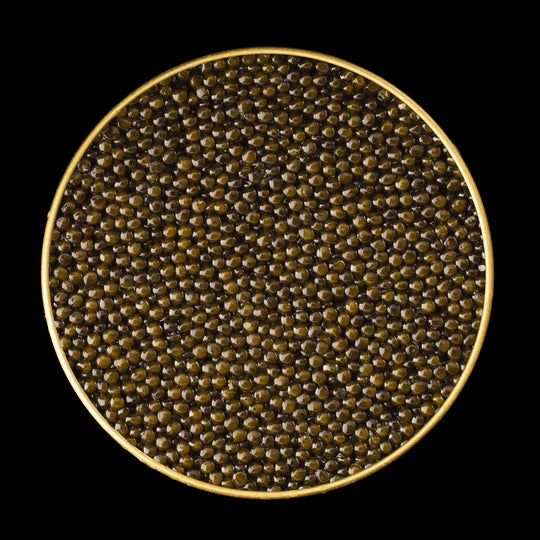 OSSETRA  CAVIAR