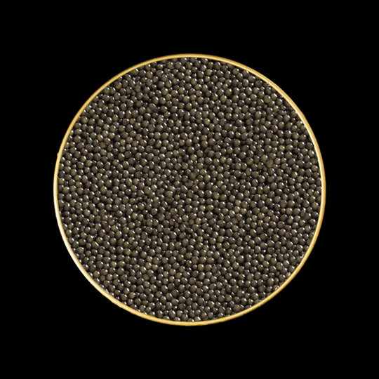 SIBERIAN STURGEON CAVIAR
